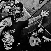 Ratos De Porão - List pictures