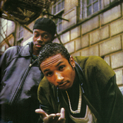 Black Sheep - List pictures