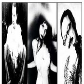 Lovage - List pictures