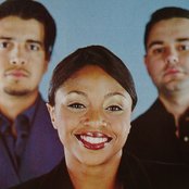 Funky Green Dogs - List pictures