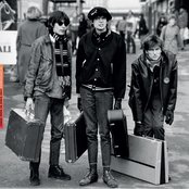 22-pistepirkko - List pictures