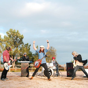 Tractor Troy - List pictures