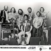 David Bromberg - List pictures