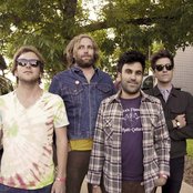 The Donkeys - List pictures