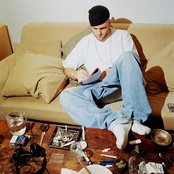 Organismen - List pictures