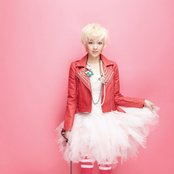 Fat Cat - List pictures