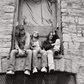 The Thieves - List pictures