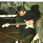 Bourbonese Qualk - List pictures