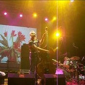 Red Snapper - List pictures