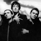 Pulp - List pictures