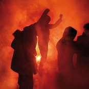 Fauve - List pictures