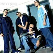 Cartel De Santa - List pictures