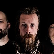 Raubtier - List pictures