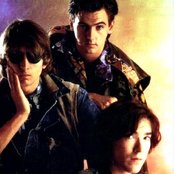 Talk Talk - List pictures