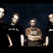 Green Lizard - List pictures