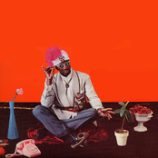 Screamin' Jay Hawkins - List pictures