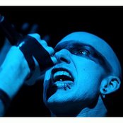 Aesthetic Perfection - List pictures