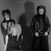 Skinny Puppy - List pictures