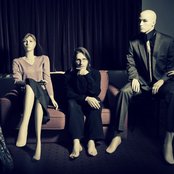 Steve Wilson - List pictures