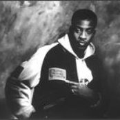 Maestro Fresh Wes - List pictures