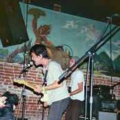 Fidlar - List pictures
