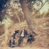 The Colourist - List pictures