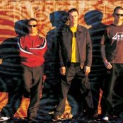 Salmonella Dub - List pictures