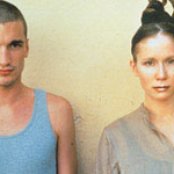 Lamb - List pictures