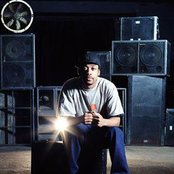 Wiley - List pictures