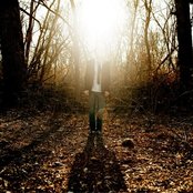 Owl City - List pictures