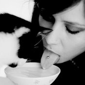 Pitty - List pictures