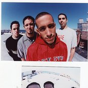 Dogwood - List pictures