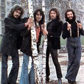 New Trolls - List pictures