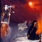 Lucifugum - List pictures