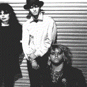 The Gun Club - List pictures