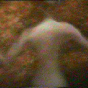 Single Gun Theory - List pictures