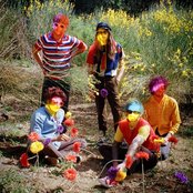 The Growlers - List pictures