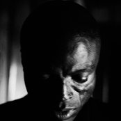 Seal - List pictures