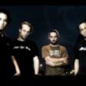 Green Lizard - List pictures