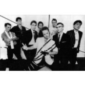 Oingo Boingo - List pictures