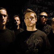 Born From Pain - List pictures