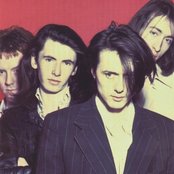 The London Suede - List pictures