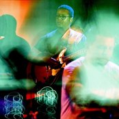 Tortoise - List pictures