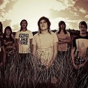 Ambrosia - List pictures