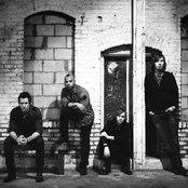 Cavo - List pictures