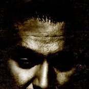 Shahin Najafi - List pictures