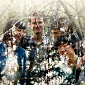 Braids - List pictures