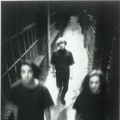 Revolver - List pictures