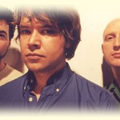 Silkworm - List pictures