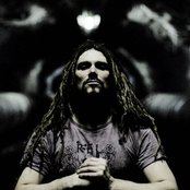 Sub-urban Tribe - List pictures